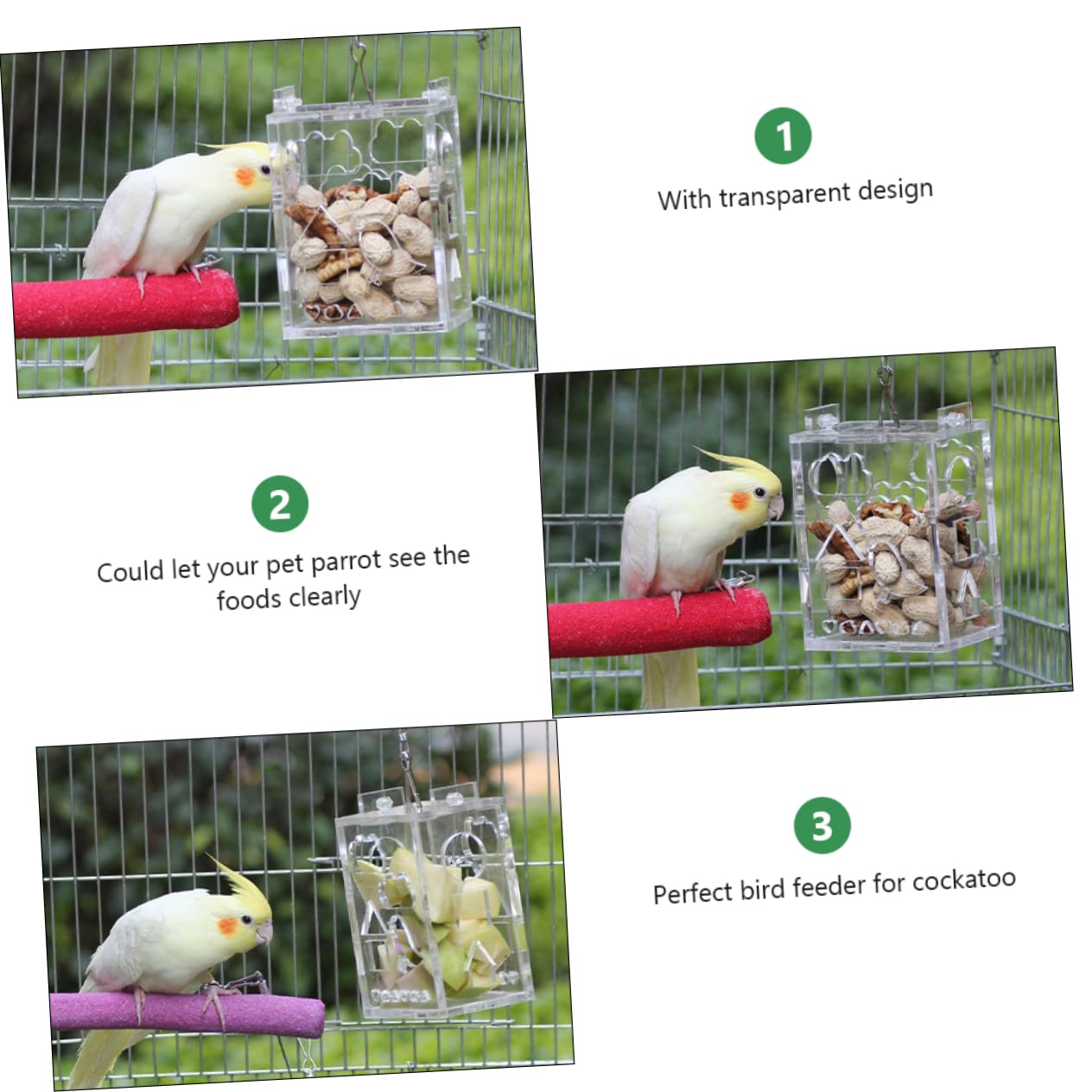 Sosoport 3pezzi Mangiatoia Per Uccelli Acrilico Gioco Intelligente Per Pappagalli e Piccoli Uccelli Foraging Toy Per Attività e Divertimento Resistente e Portatile