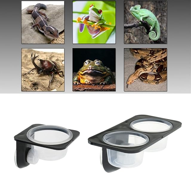 Foto 3 de 6 de Veciado Reptiles y anfibios lagartos gecko con ventosa para piensos con cuenco para reptiles y alimentación…