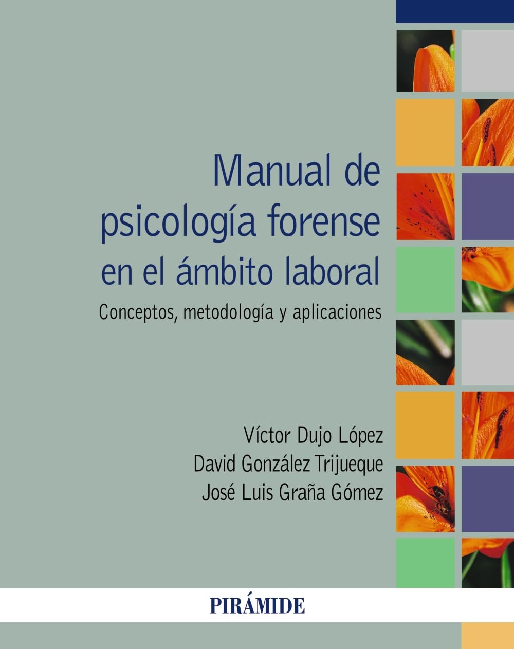 Manual de psicología forense en el ámbito laboral: Concepto, metodología y aplicaciones
