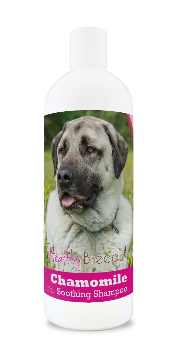 Healthy Breeds Yorkshire Terrier Chamomile Soothing Dog Shampoo 8 oz — view 132