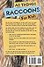 All Things Raccoons For Kids: Filled With Plenty of Facts, Photos, and Fun to Learn all About Raccoons