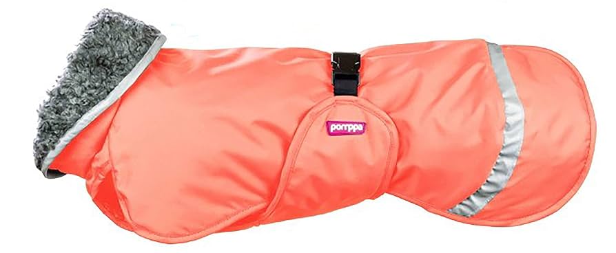 Amazon | Pomppa(ポムッパ) ペルス ポムッパ パパイヤ 25cm Amazon | Pomppa(ポムッパ) ペルス ポムッパ パパイヤ 25cm