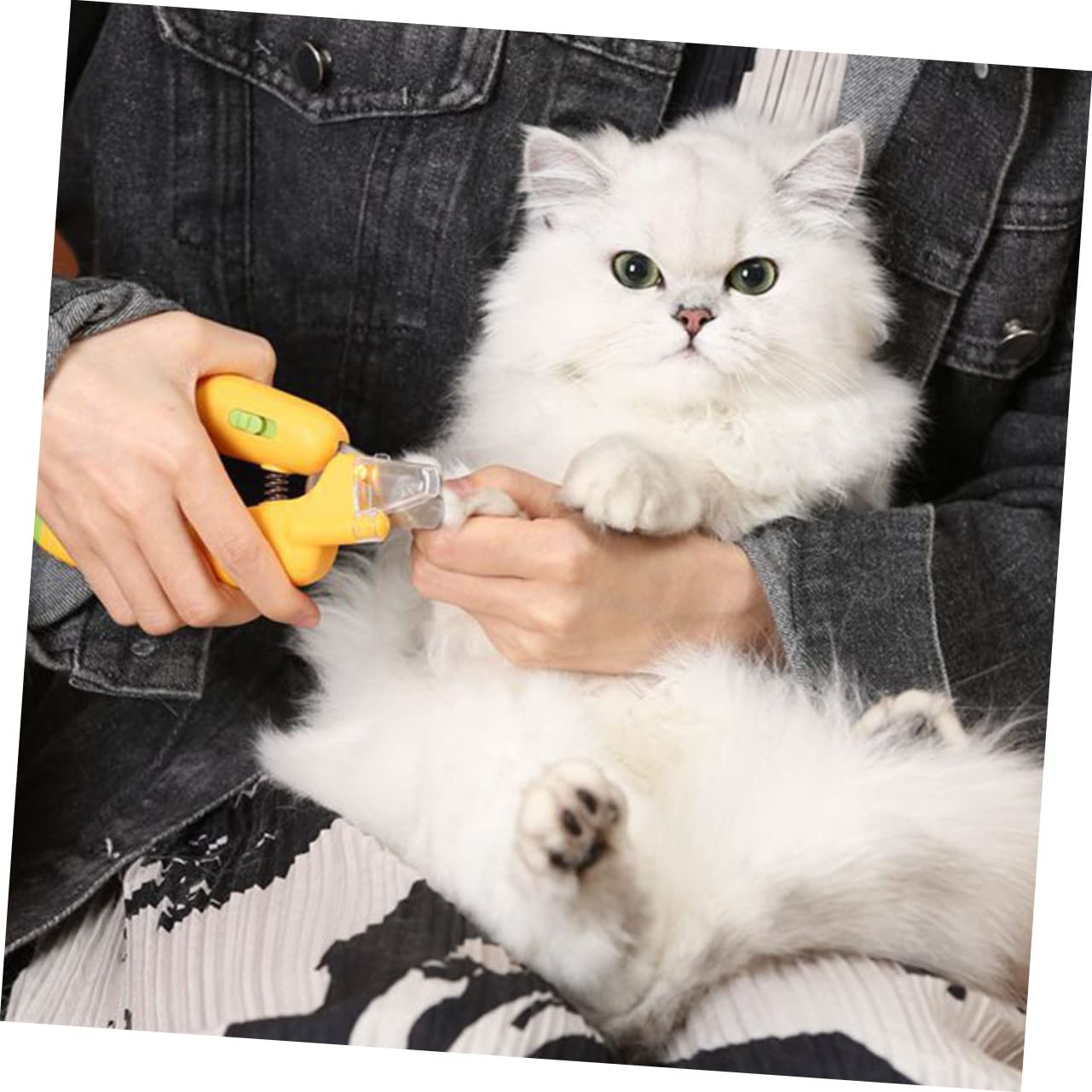 BESPORTBLE Coupe- pour Animaux De Compagnie 3 Pièces Ciseaux Lumineux À LED pour Chiens Et Chats Kit De Toilettage pour Animaux De Compagnie