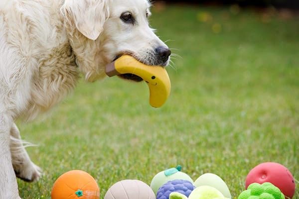 Petface Latex Apple Soft Chew Dog Toy, Small - 4