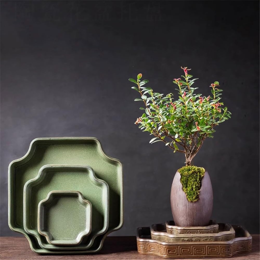 Versatile Sottovasi for Piante in Ceramica, Vaso da Fiori Verde, vassoi raccogligocce(M)