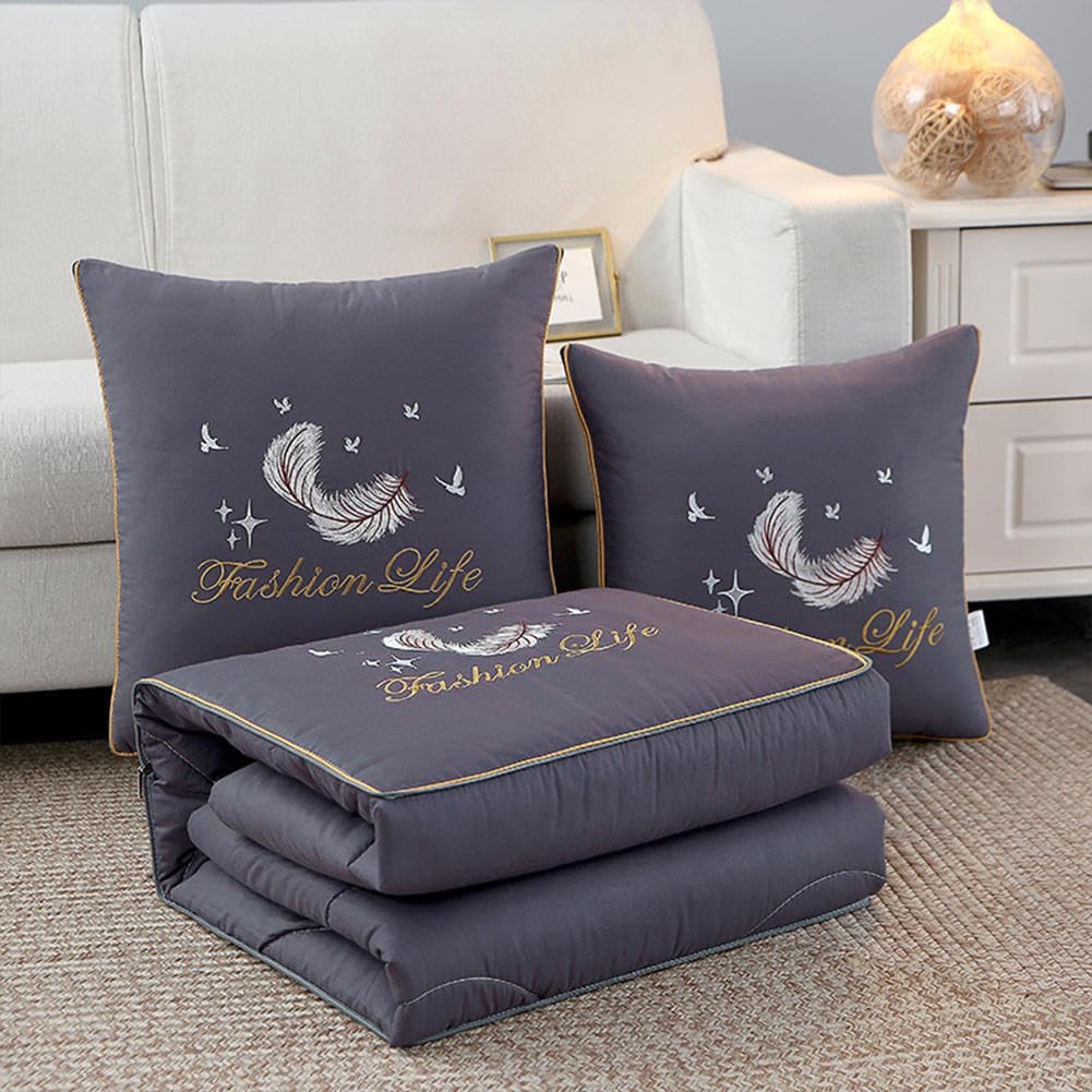 VINGAA Set Cuscino e Coperta, Set Cuscino da Viaggio e Coperta, Cuscino in Peluche Addensato, Cuscino Morbido per Coperta 2 in 1, con Cerniera, necessità di Viaggio per la Famiglia (47 * 63 Pollici)