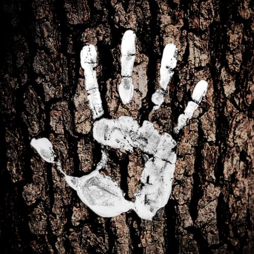 Couverture de Waypoints in the Woods