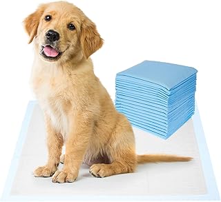 Amazon Basics Dog And Puppy Pee Pads | Pack Of 20 | 24 X 23 Inches | Leak-Proof, Quick-Dry Design For Potty Or Indoor Training | Heavy Duty Absorbency