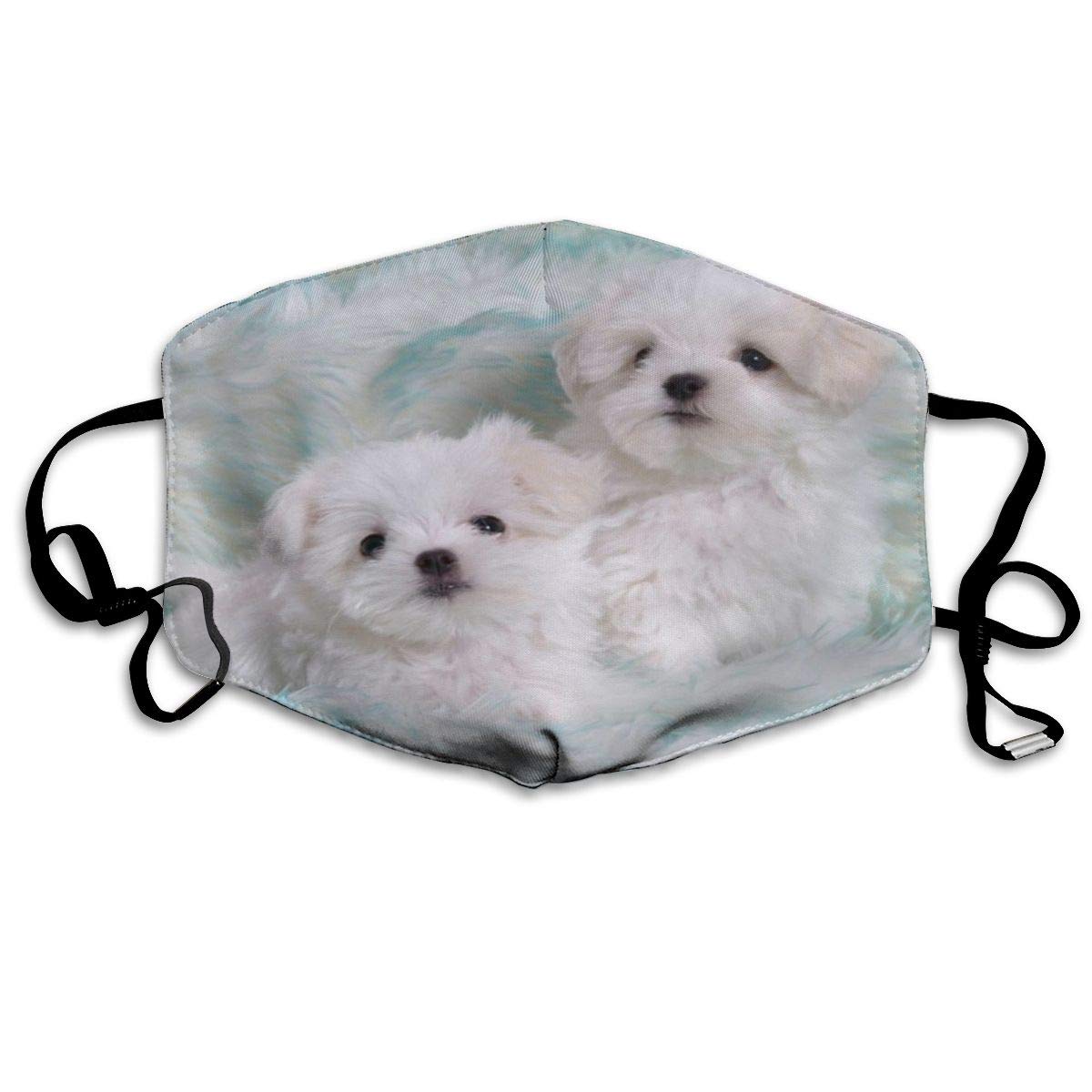 NiYoung Face Cover, Unisex Mouth Cover Washable Anti Dust M-Asks Cover for Teens Men and Women (Cute Animal Maltese)