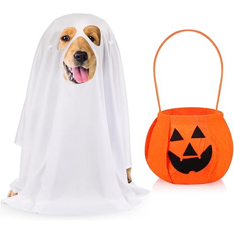 Spooky Halloween Ghost Pet Costume for Dogs & Cats