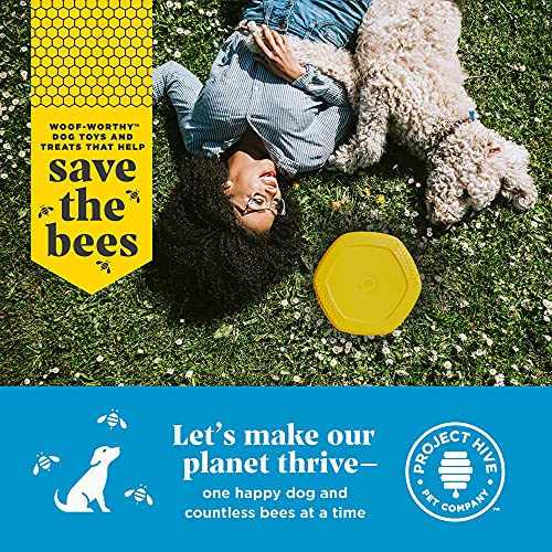 PROJECT HIVE ·PET COMPANY· - Hive Frisbee for Dogs - Dog disc - Great for Fetch - Includes a Lick mat on Back - Floats in Water, Smooth Glide - Made in The USA - Image 6