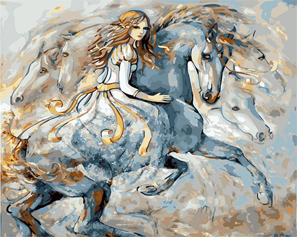Meecaa Paint by Numbers Girls Horse Animal Abstract Kit for Adults Beginners DIY Oil Painting 16 x 20 Inches (Girls and Horse, Framed)