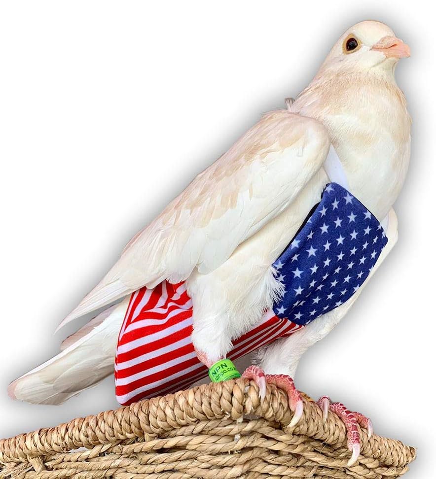 Bev's Bird Boutique - Patriot Flyper Small to Medium Sizes - Open Back Style (3)