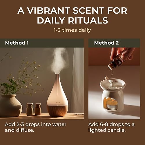 Vista 404 de Gya Labs - Aceite esencial de vainilla oleorresina para aliviar el estrés, relajación, sueño, aceite de vainilla francesa dulce para mayor