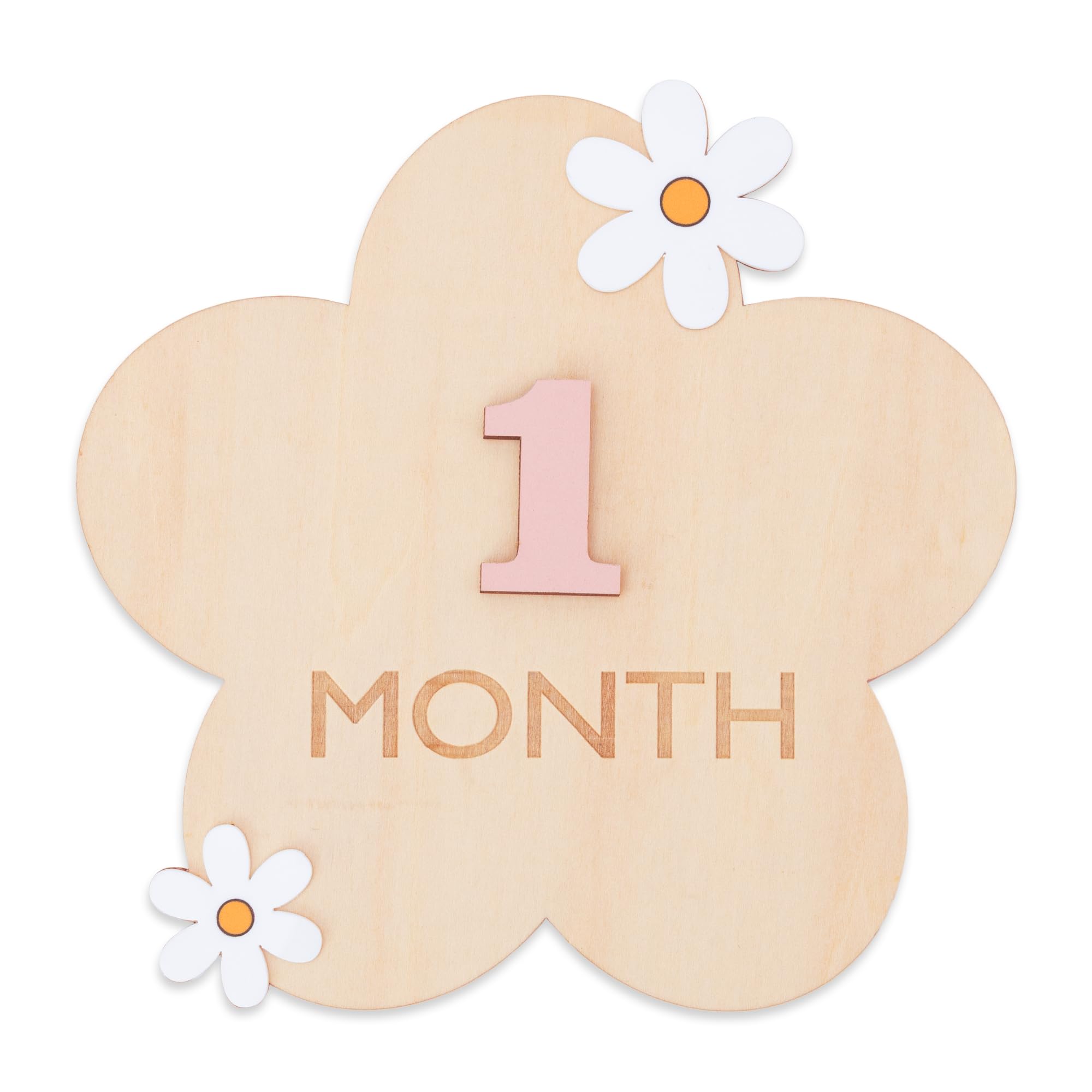 Daisy 3D Baby Monthly Milestone, Wooden Baby Milestone Signs, Monthly Milestone Wood Discs, Baby Milestone Discs (3D Flower)-image-30