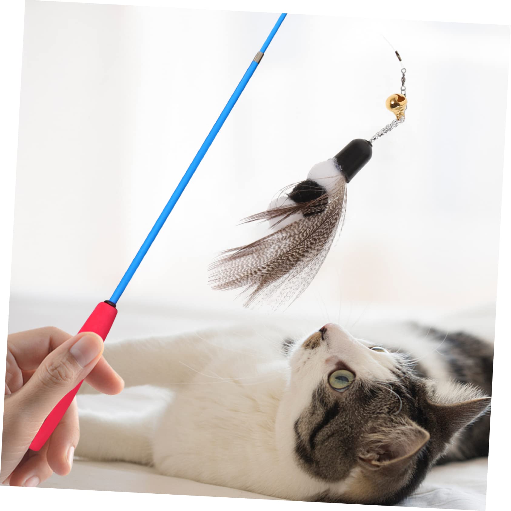 Yardwe 24stücke Katzenangel Nachfüllköpfe Interaktive Katzenspielzeuge Mit Bunten Federn Und Insekten-Design Ergänzung Für Und Aktivität Ihrer Katze