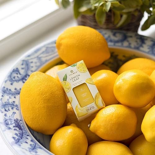 Miniatura 2 de Thymes Aqua Coralline Pura Smart Home - Recambios para difusor enchufable, paquete de 2