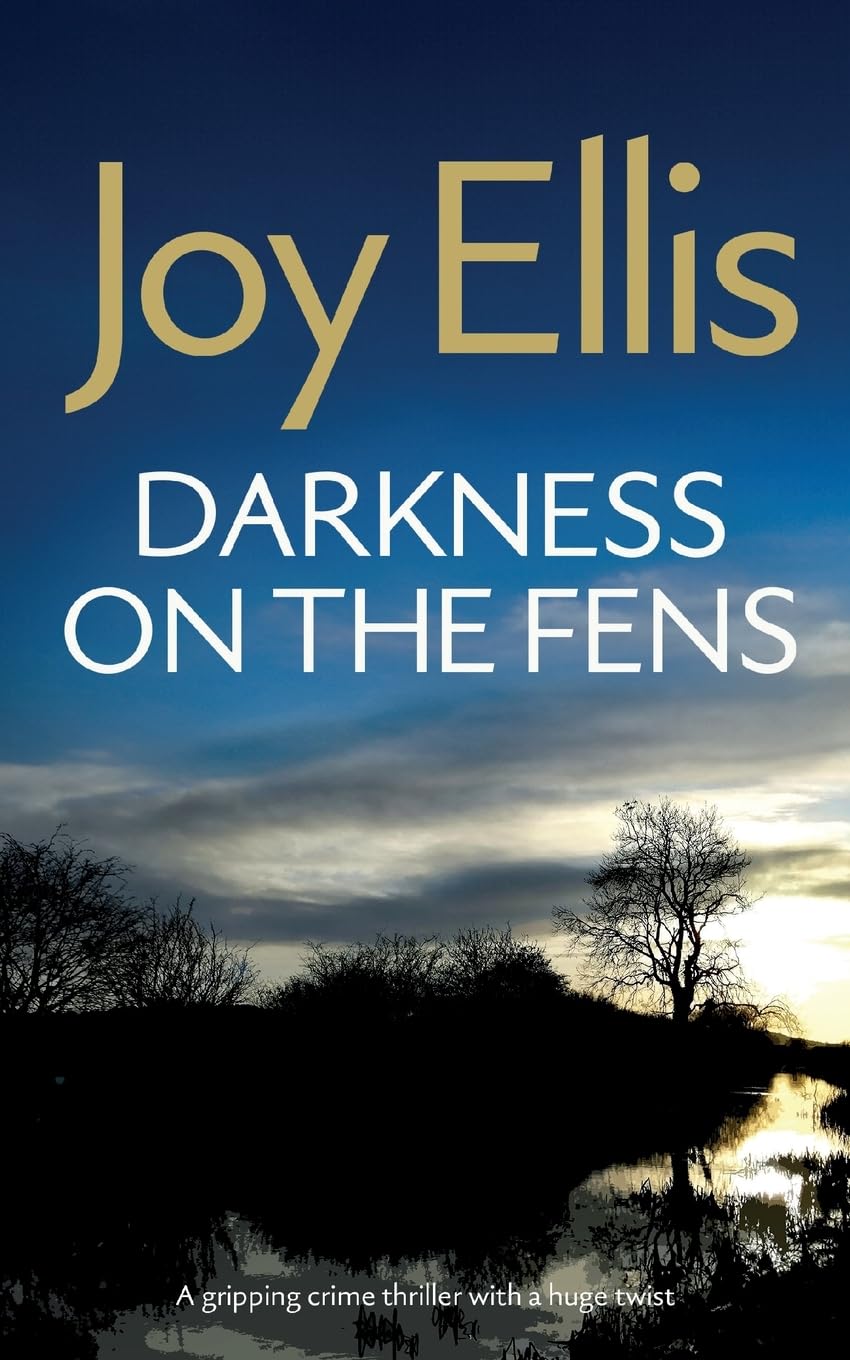 DARKNESS ON THE FENS a gripping crime thriller with a huge twist: 10 (Detective Nikki Galena Mysteries)