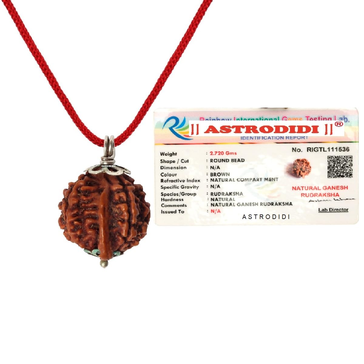 ASTRODIDI Ganesh Rudraksha Original Certified Silver Plated Pendant | Natural Nepali Ganesh Ji Rudraksh Bead | Astrological Benefits | Unisex Design for Men & Women (Color: Brown)