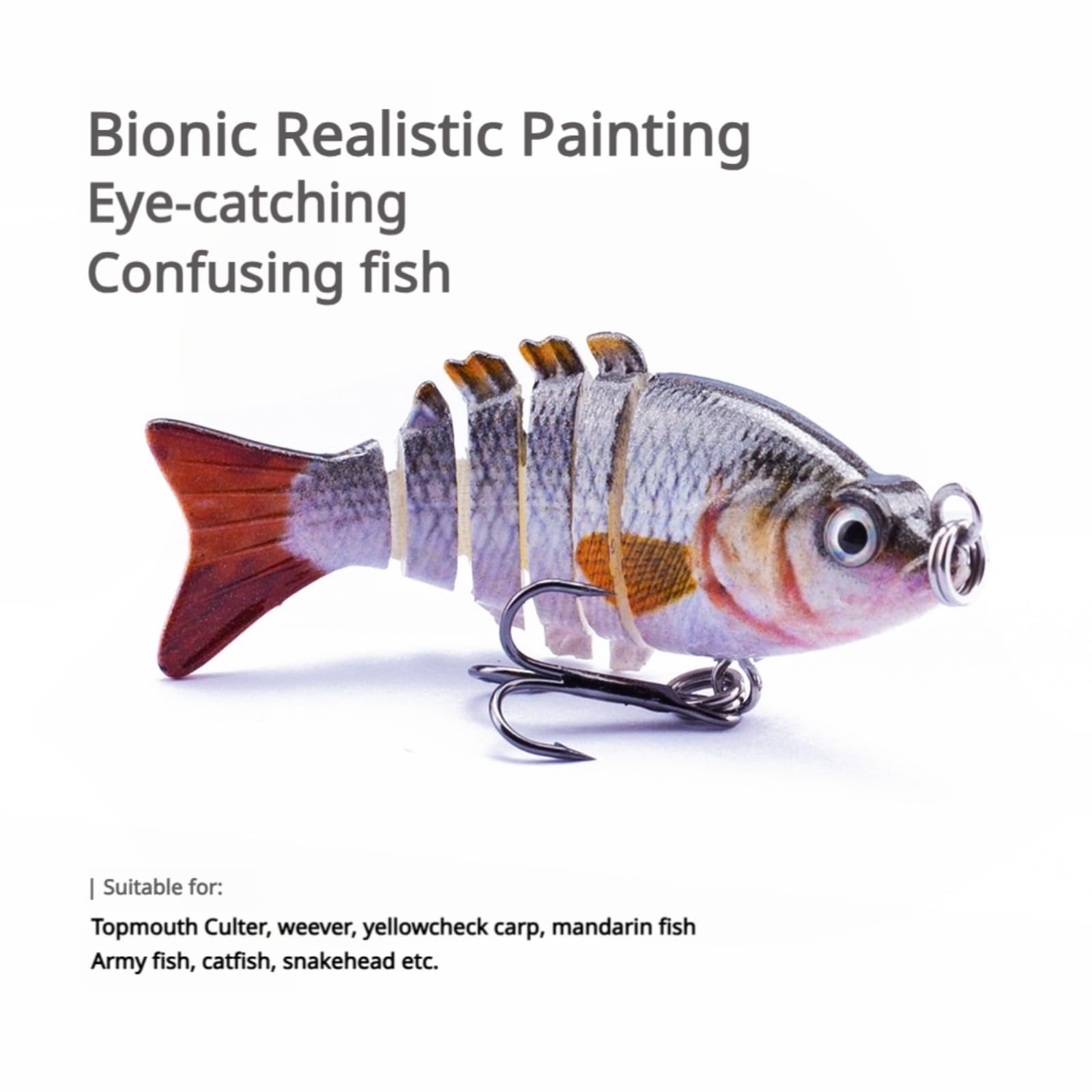 Lot De 5 Leurres De Pêche Bioniques Vifs Pour La Pêche à L