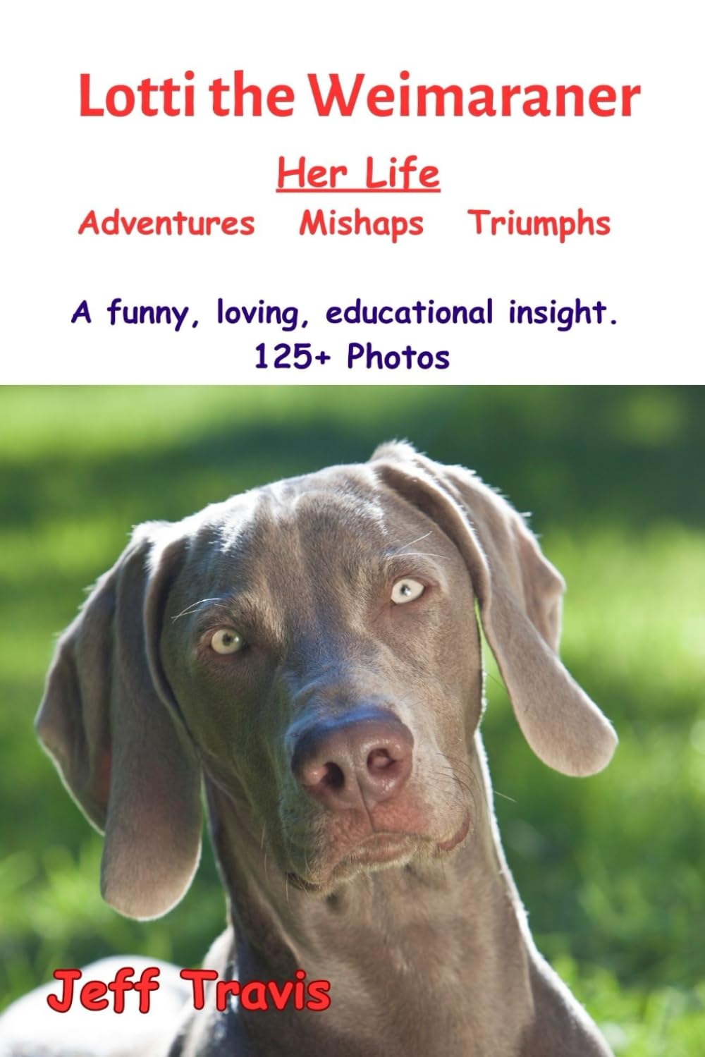 LOTTI THE WEIMARANER Her Life Adventures Mishaps Triumphs: Lotti's Life - A Funny, Loving, Educational Insight