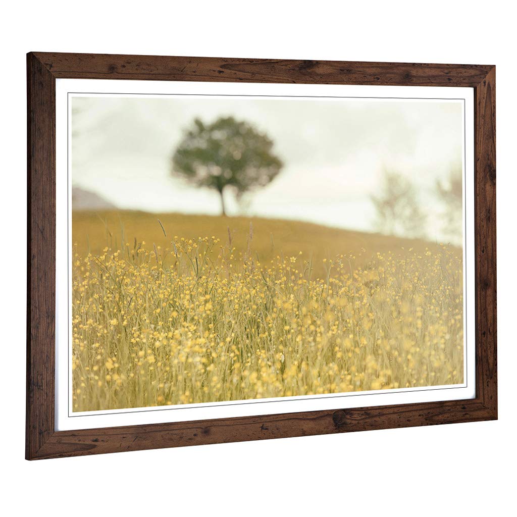 Big Box Art Framed Print of Landscape Yellow Meadow and Tree Design | Wall Art Picture | Home Decor for Kitchen, Living Room, Bedroom, Hallway, Walnut, A2 / 24.5x18 Inch / 62x45cm