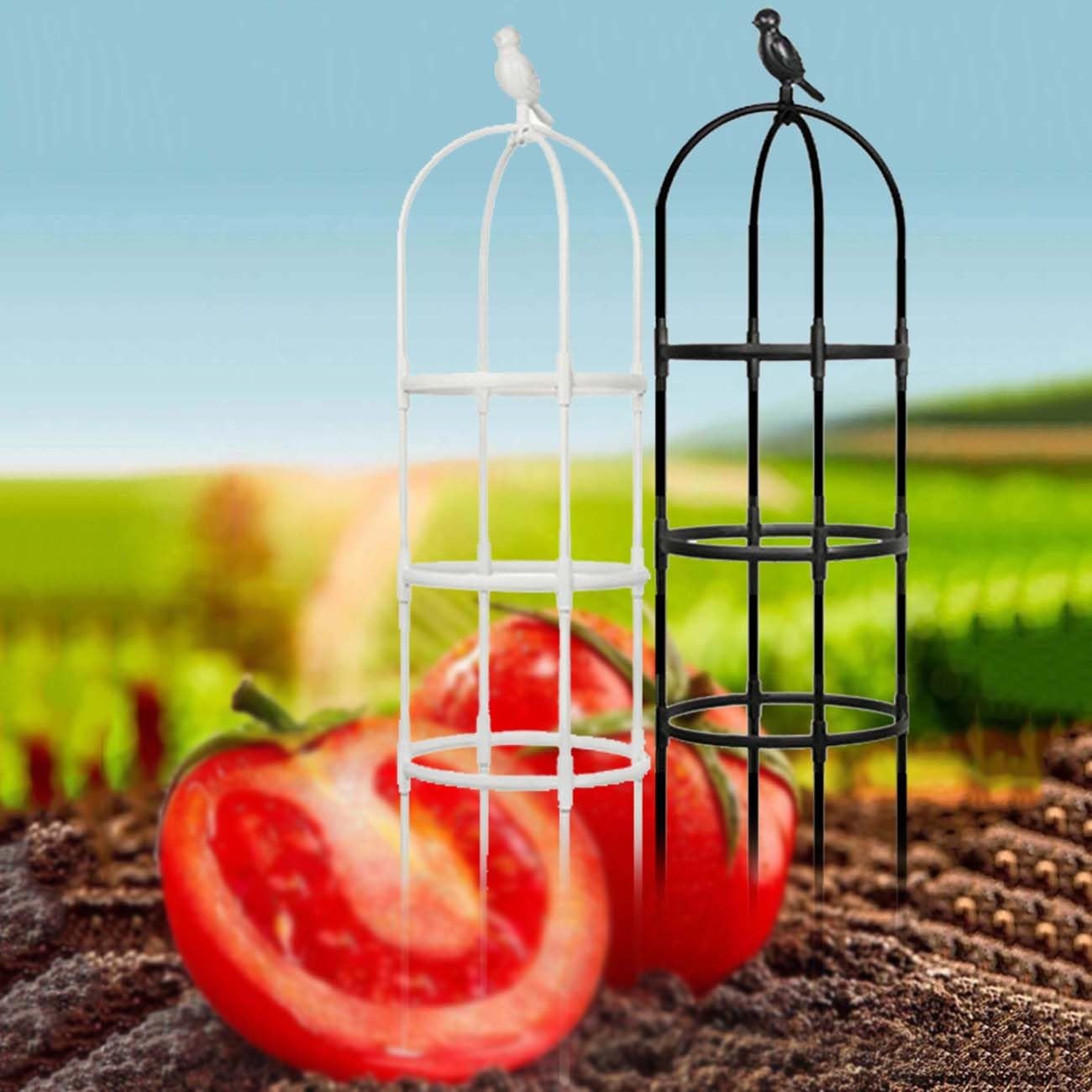 Generico Obelisco per Giardino Traliccio per Piante Rampicanti Colonna di Rose Supporto per Pomodori Cetrioli Altezza 65 Cm 85 Cm 115 Cm 145 Cm 165 Cm 175 Cm 205 Cm(Bianca,25x175cm)