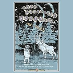 Fairy Tales Audiolibro Por Hans Christian Andersen arte de portada