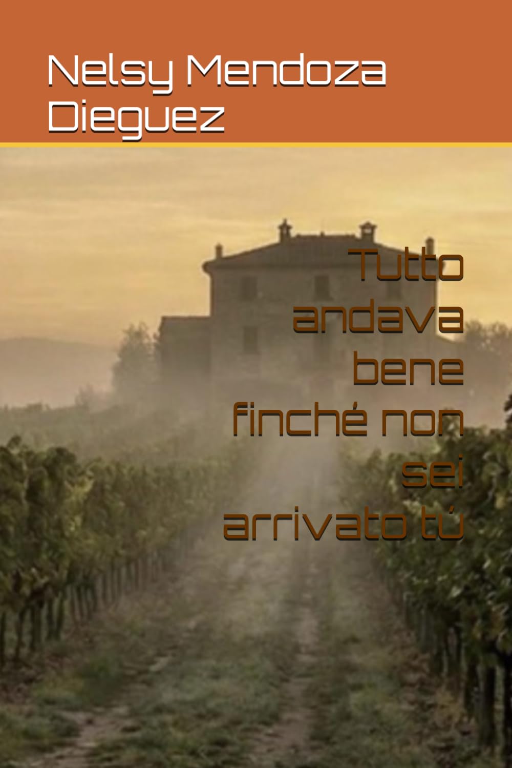 Tutto andava bene finché non sei arrivato tú