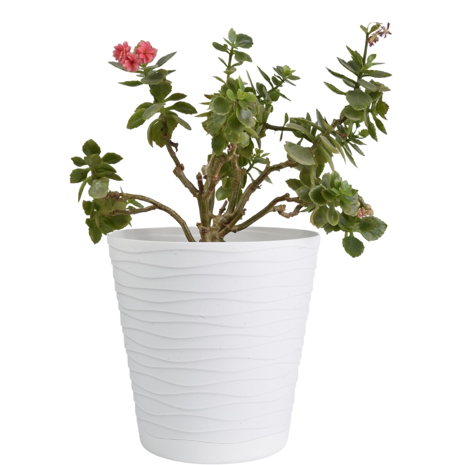 B2C Flower Pots 6 Colours 8 sizes Matt Plastic Plant Pots Planter + Saucer Tray Deco (White, 19 cm)