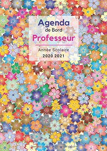 Télécharger Agenda de Bord Professeur - Année scolaire 2020 2021: Collège Lycée - Pour chaque semaine: 1 doub PDF