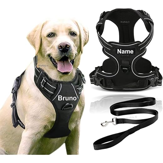Kraftidy Dog Harness No Pull Reflective Large
