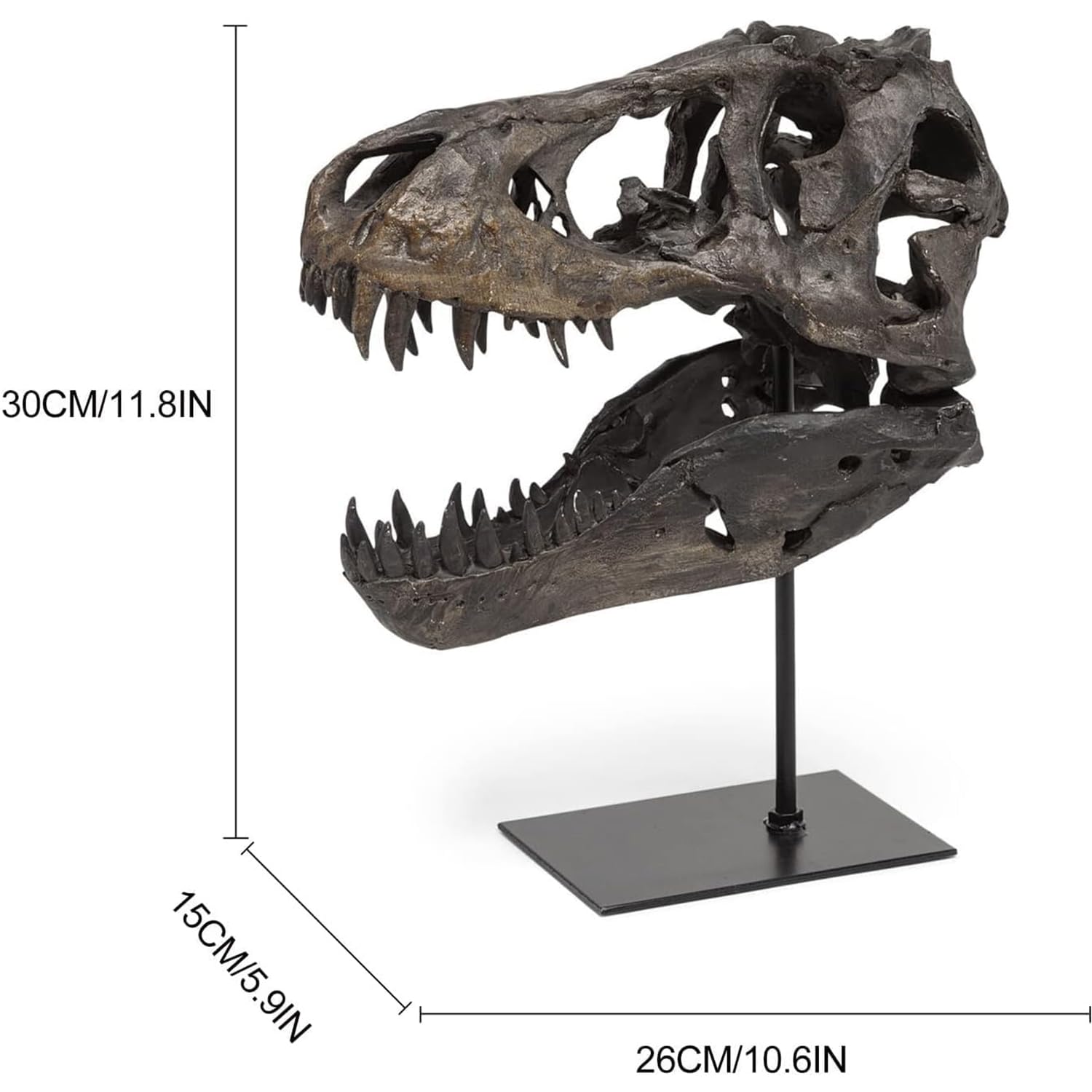 Statue de crâne de Sculptures de Dinosaures avec Support Réplique de crâne de tyrannosaure Décoration Réplique de crâne et d'os en résine avec Support pour la Maison, Le Bureau.