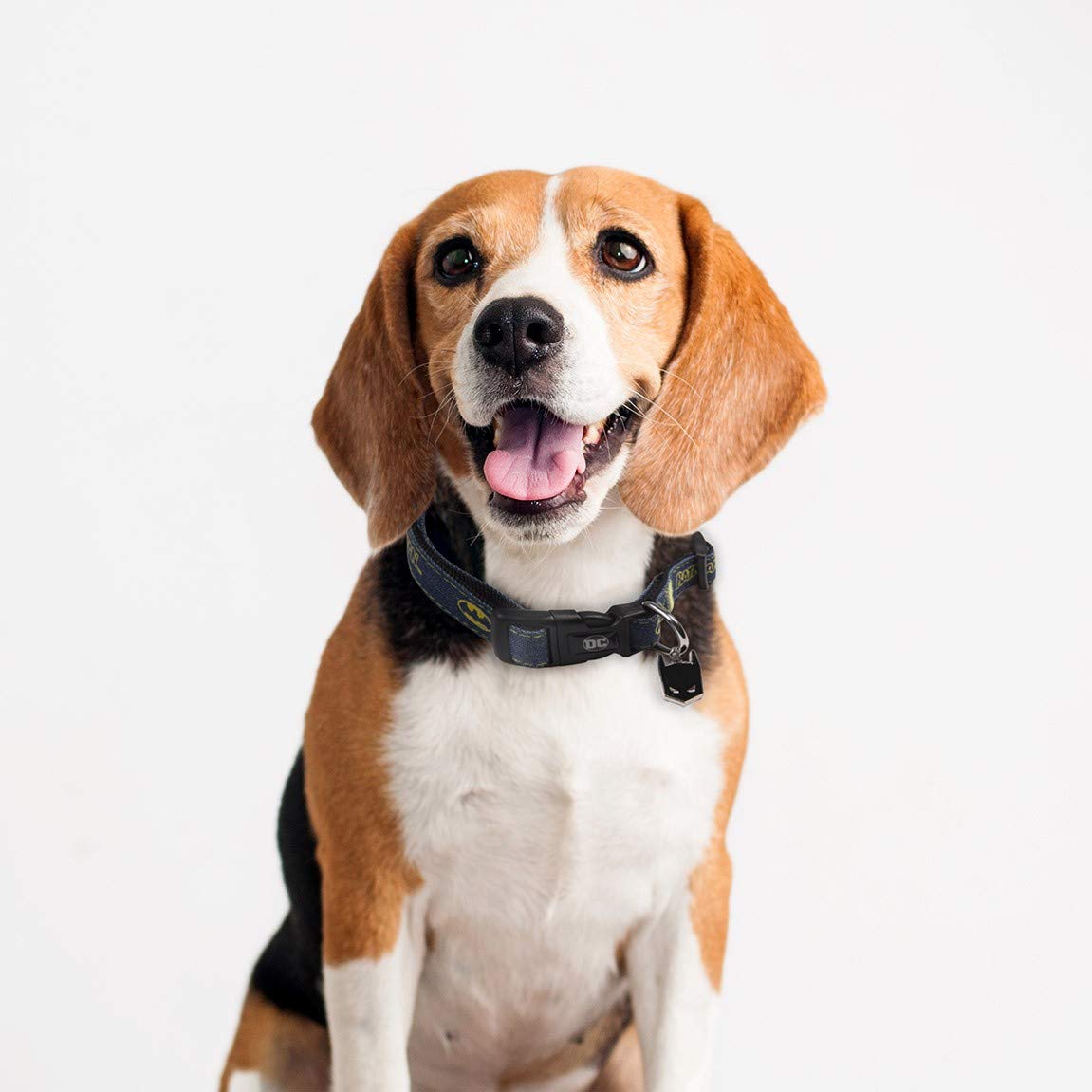CERDÁ DC PetsDog Hundehalsband – Offizielles DC Comics Lizenzprodukt, Mehrfarbig