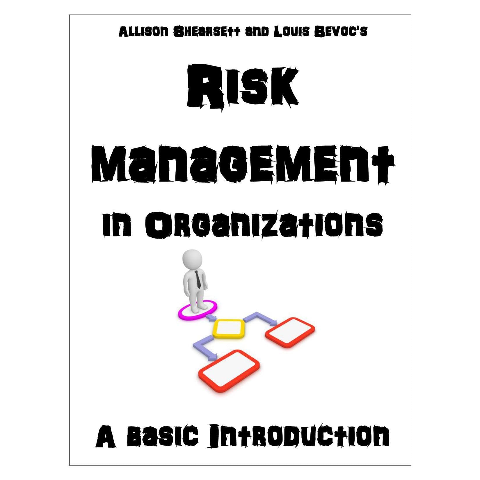 Risk Management in Organizations