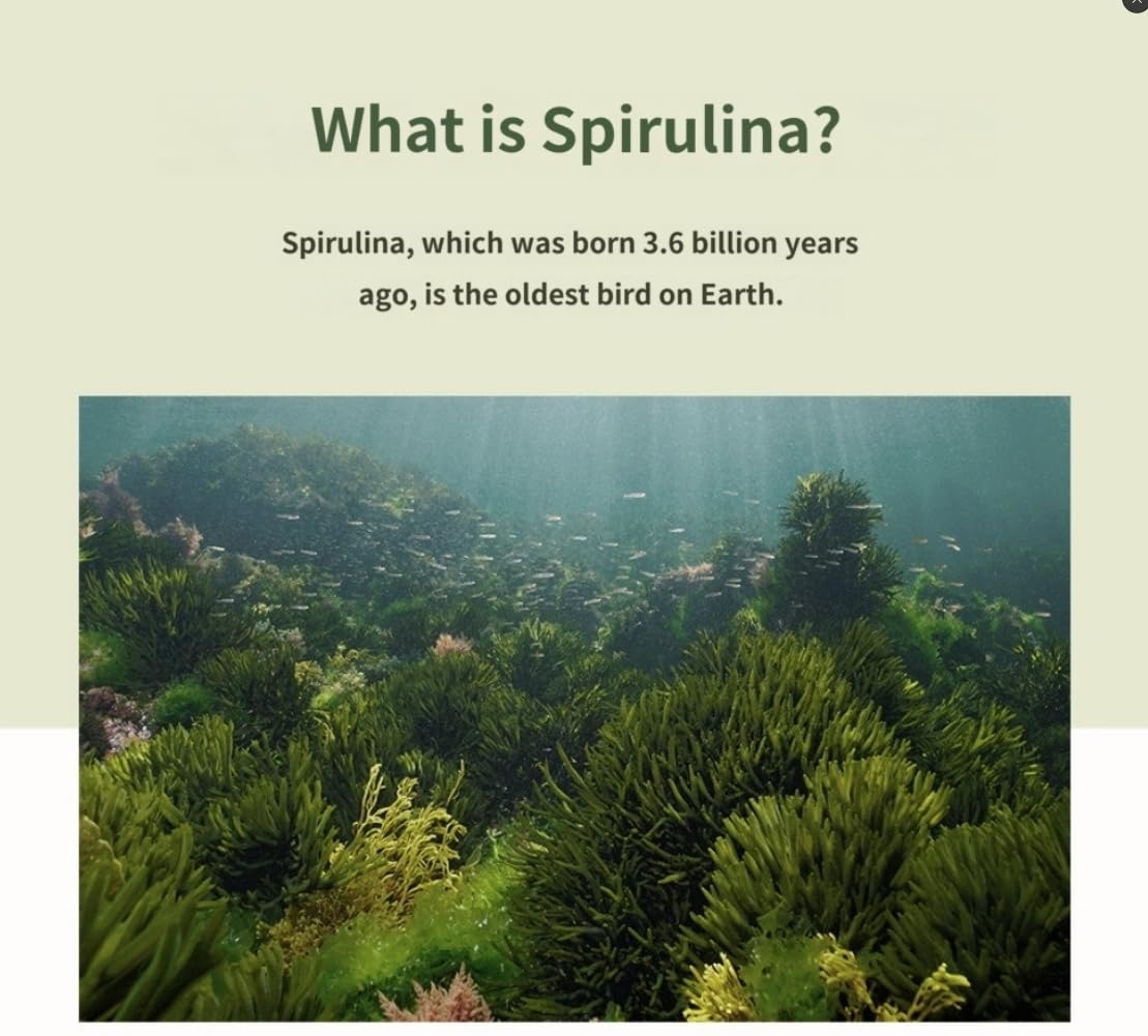 Pure Spirulina Capsules, Hawaiian-Grown, 120 Count, 40-Day Supply — Amazon image 8