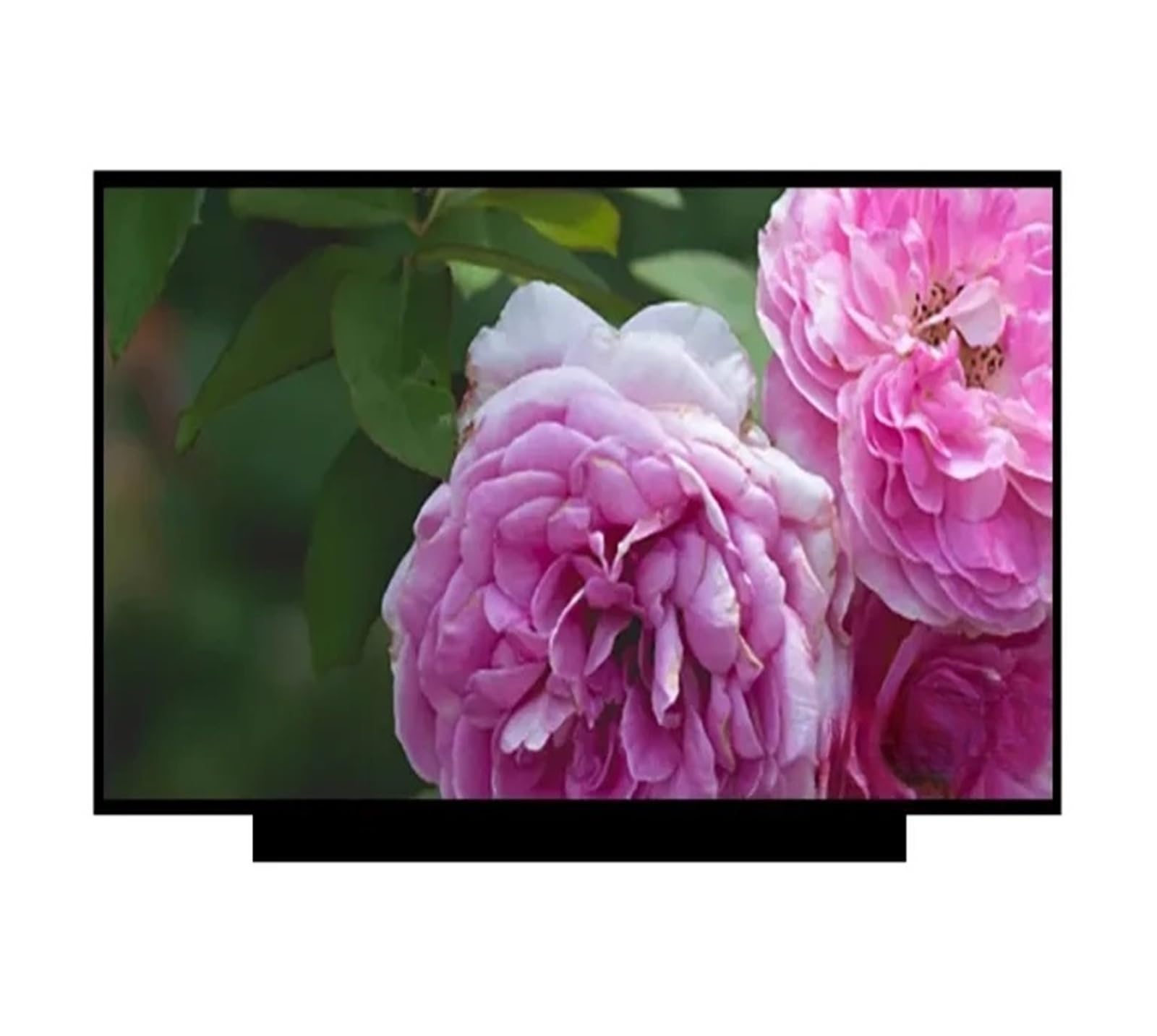 Swift 3 SF313-52-36JF SF313-52-3864, Compatibile For Acer, Schermo LCD