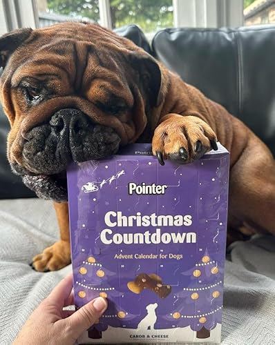 Pointer Pet Products - Christmas Advent Calendar, Tasty Carob and Cheese Flavoured Assorted Bones - Made in Britain, No Added Artificial Flavours, Naturally Oven Baked Dog Treats 1 x 325g