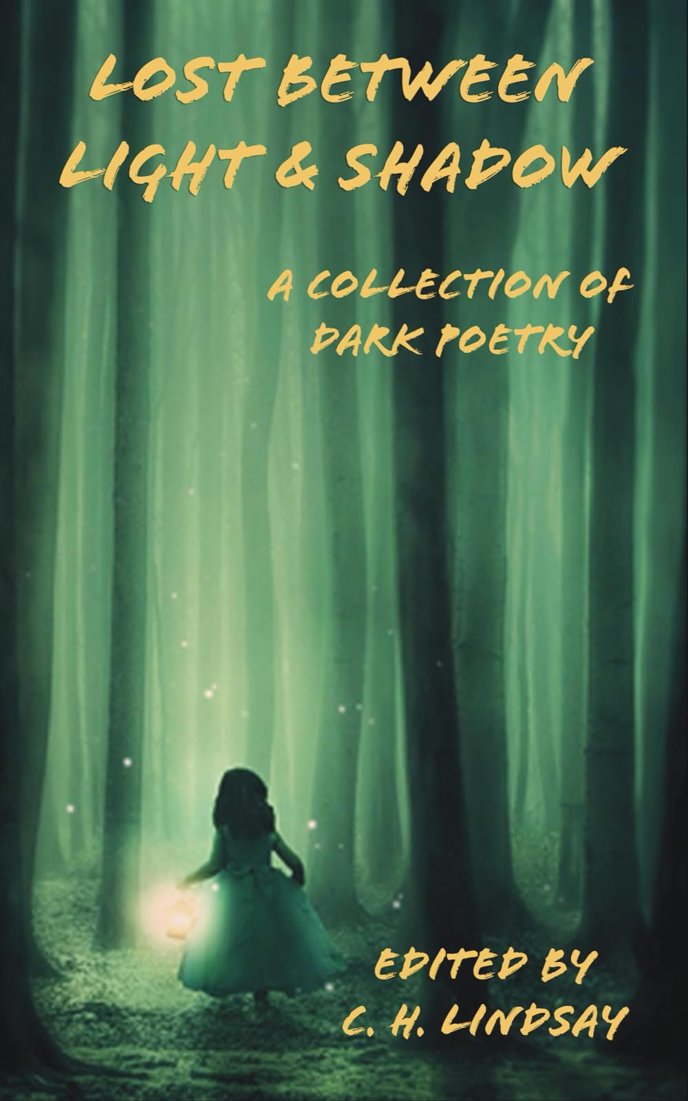 Cover of Lost Between Light & Shadow: A Collection of Dark Poetry