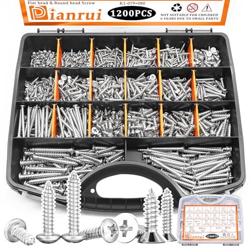 Dianrui 1200 PCS Wood Screws Assortment Kit, Assorted 304 Stainless St