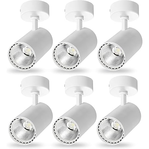 Bravsekai 6 confezioni di faretti da soffitto extra-luminosi da 25 W regolabili a 90 gradi, proiettore da soffitto antiriflesso, faretto da soffitto a LED da incasso (bianco 6000 K 25 W ad alta
