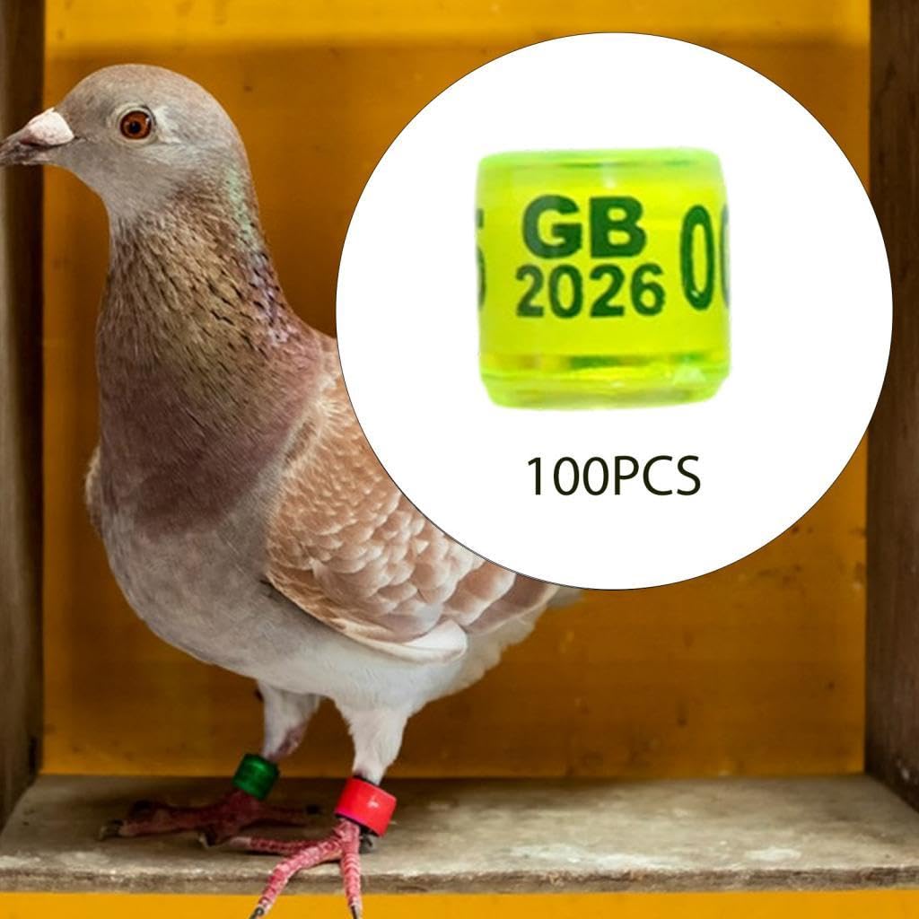 KESOTO 100 Pezzi Anelli per Zampe di 2026 Anelli identificativi per Zampe di Colomba per fringuelli Bantam e, Giallo Chiaro Regno Unito