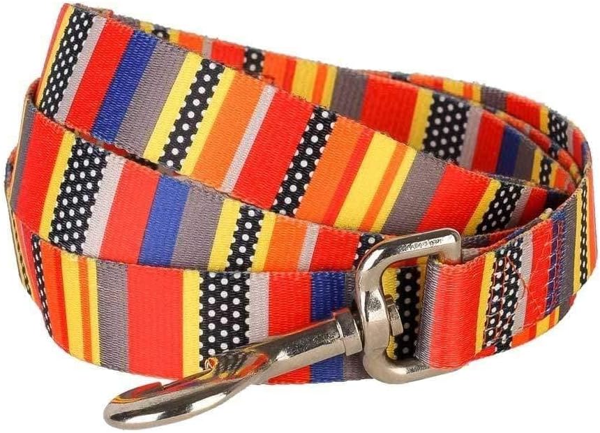 Correas Sencillas