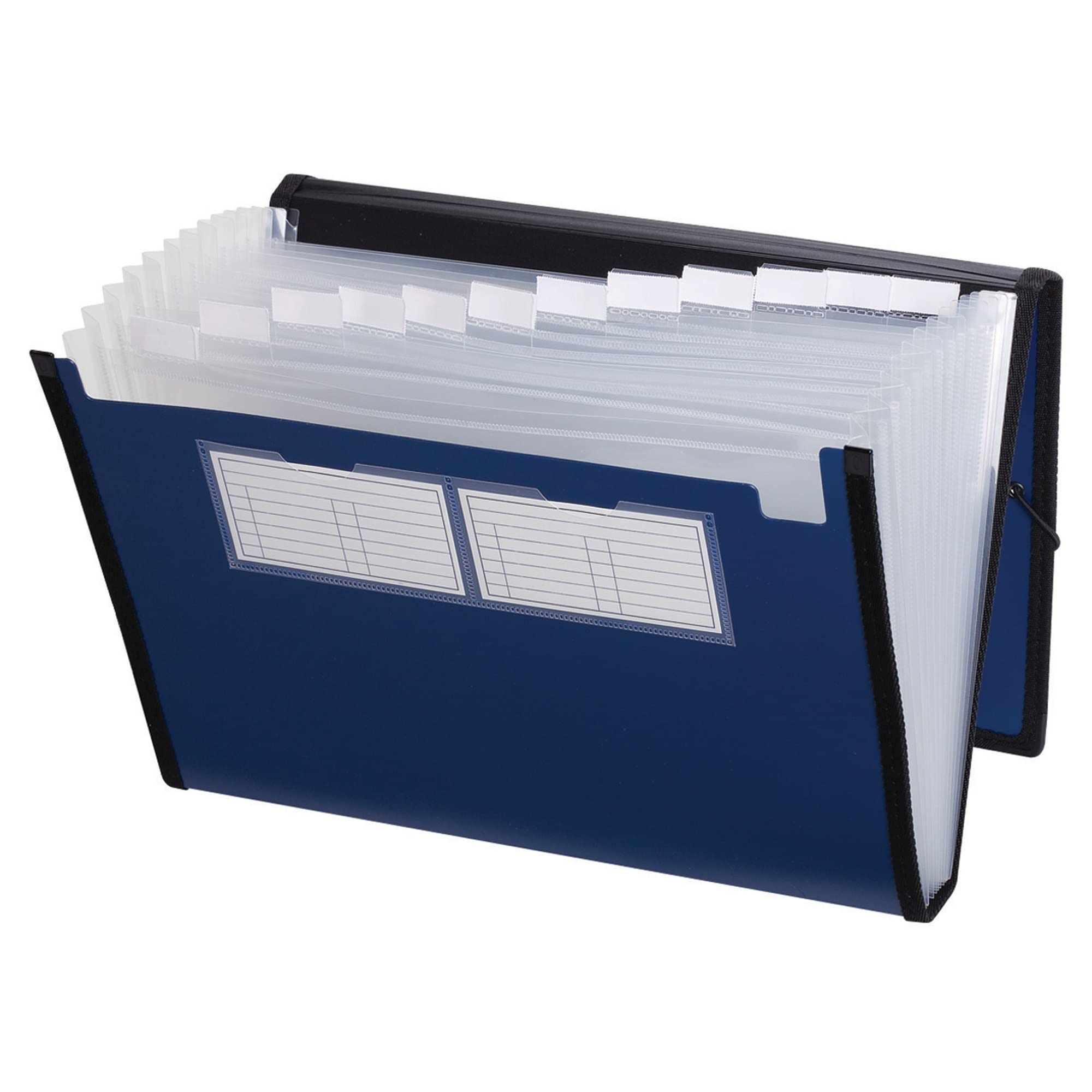 Pendaflex - Raccoglitore professionale in poliestere, con 13 tasche, colore: Blu metallizzato
