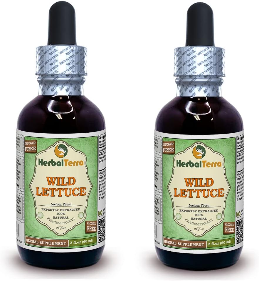 Wild Lettuce (Lactuca Virosa) Tincture, Dried Herb Liquid Extract (Brand Name: HerbalTerra, Proudly Made in USA) 4x4 fl.oz (4x120 ml)