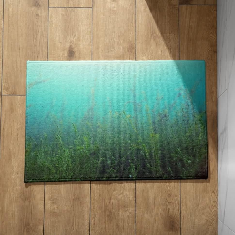 Tapis de cuisine XXL paillasson entree interieur lavable CEVAN