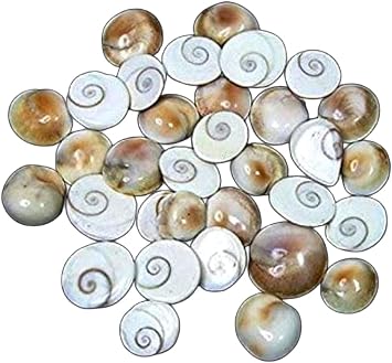 Small Gomti Chakra Pack of 25 for Wealth, Health & Success Very Small Size for Pooja