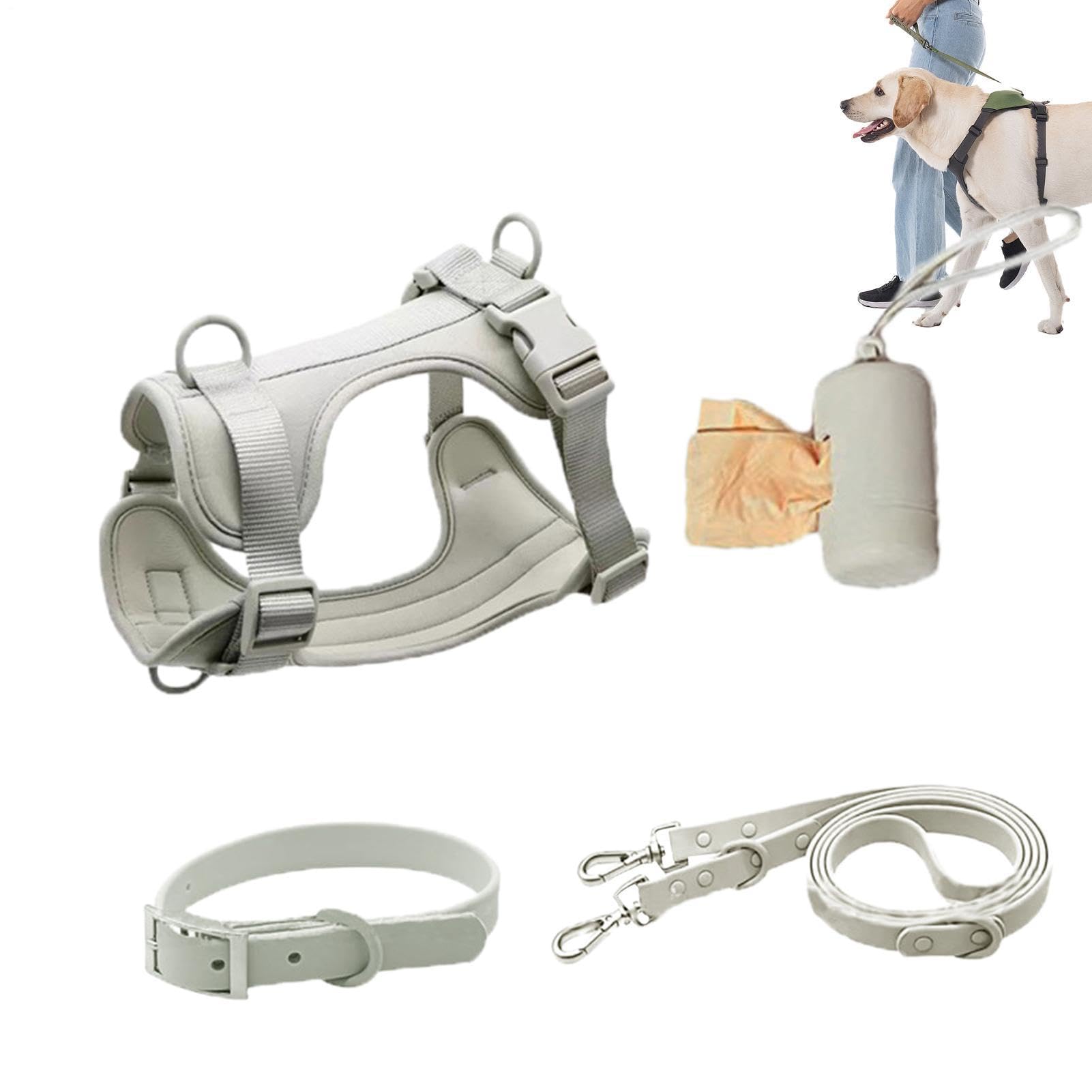 Hundegeschirr-Set für mittelgroße Hunde, Hundeleinen-Set Halsbänder Leinen | Wasserdichtes Set zum Spazierengehen mit Hunden für das Gehtraining