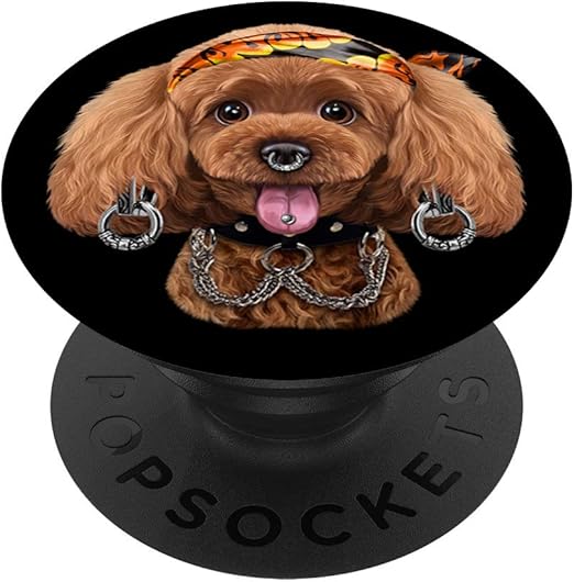 toy poodle accessories