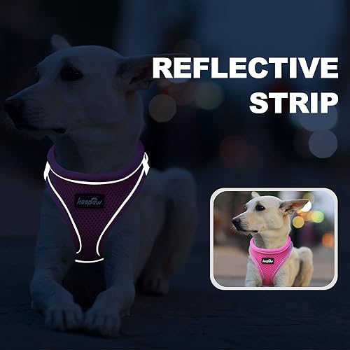 Miniatura 5 de Arnés para perro con correa, arnés reflectante ajustable sin tirones con chaleco acolchado grueso para perros extrapequeñospequeños y medianos